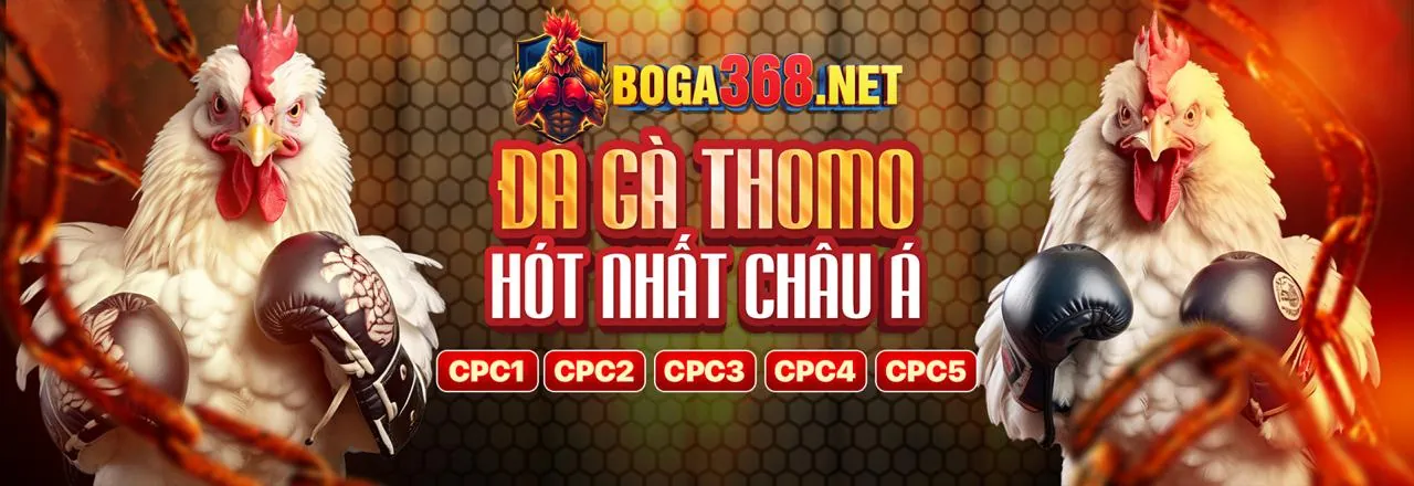 Đá gà trực tuyến 789wwin casino